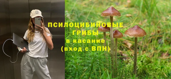 герыч Богородск